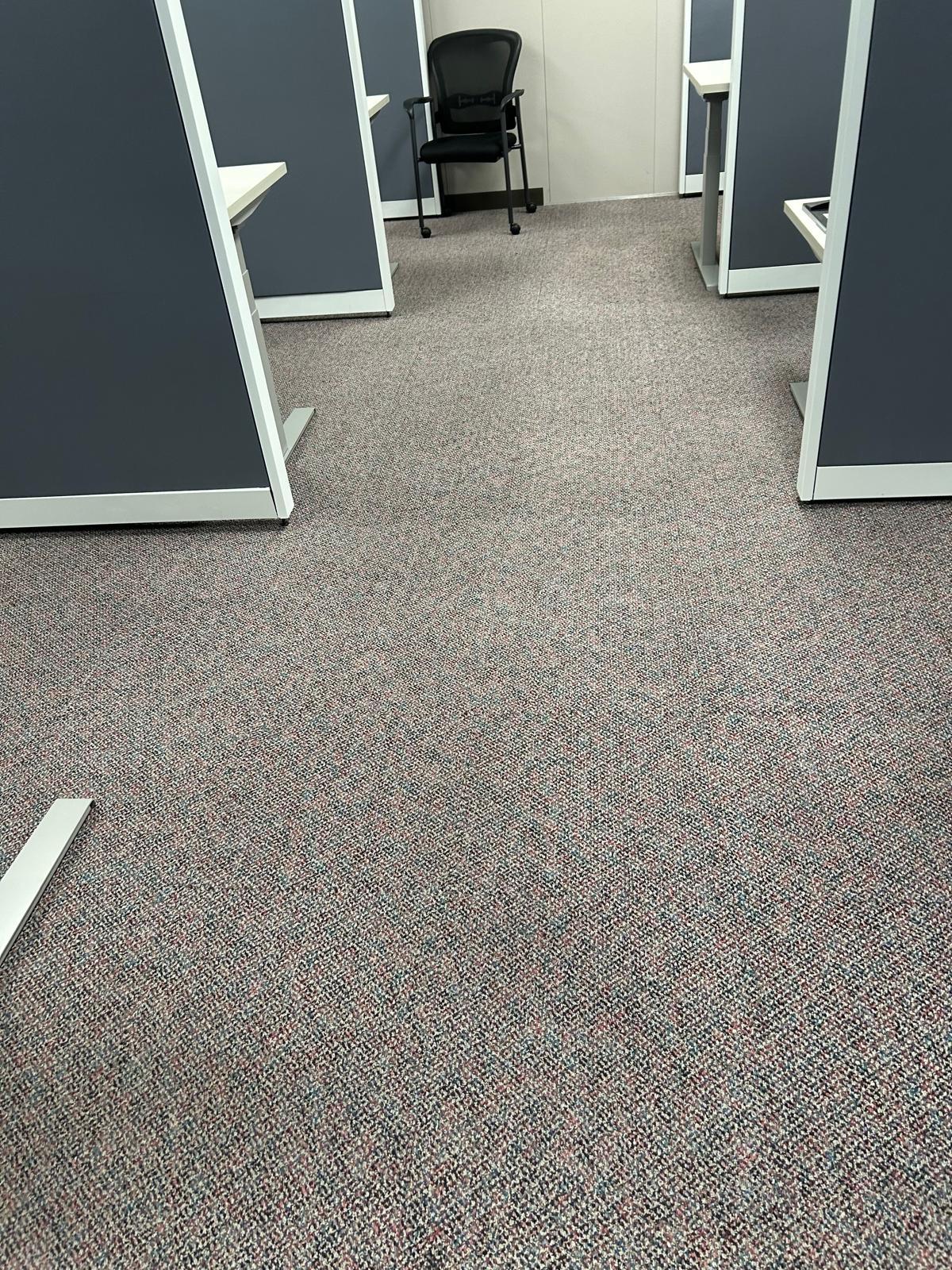 Commercial office carpet restored after professional extraction cleaning