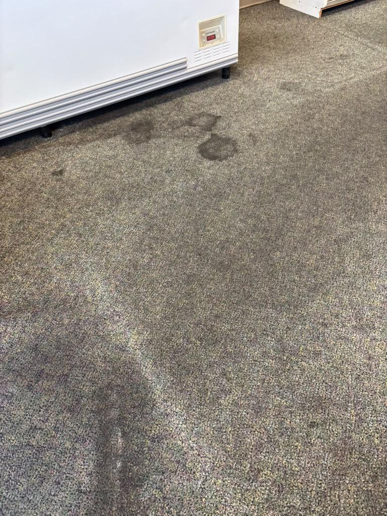 Commercial carpet before professional cleaning
