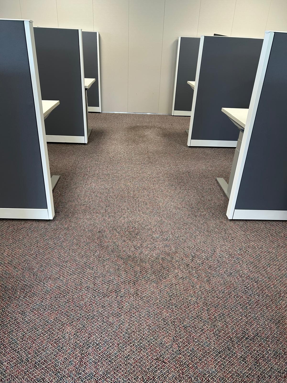Office carpet with visible traffic patterns before deep cleaning