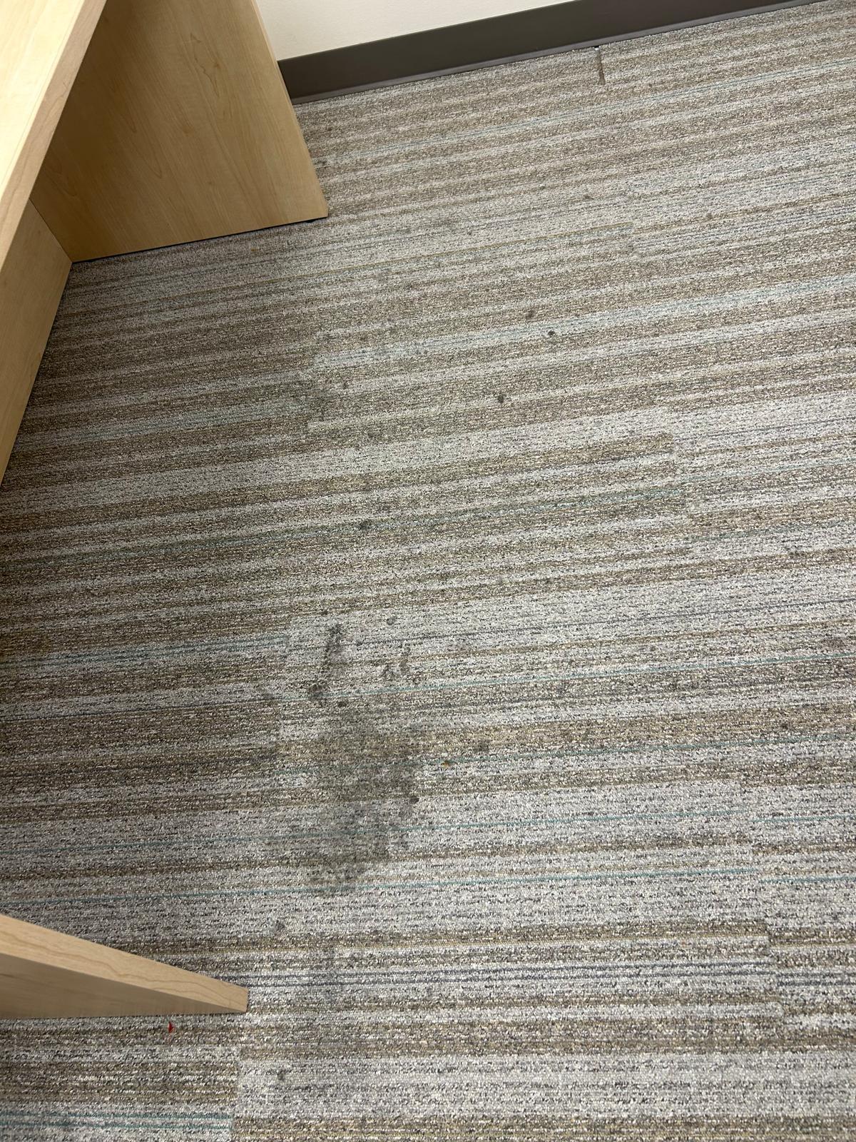 Commercial carpet with heavy staining before restoration
